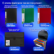Папки-файлы перфорированные А4 BRAUBERG "STANDARD", КОМПЛЕКТ 100 шт., гладкие, 40 мкм, 229661