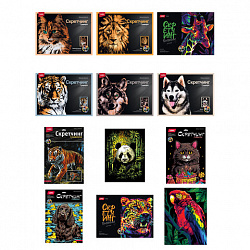 Гравюра в технике Скретчинг "Животные" АССОРТИ, цветная основа 30х40 см, штихель, LORI, 001