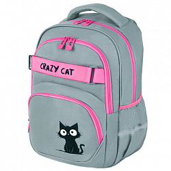 Рюкзак BRAUBERG MOTION, 2 отделения, 3 кармана, "Crazy cat", 41х28х17 см, 273115