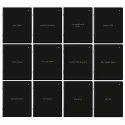 Тетради предметные, КОМПЛЕКТ 12 ПРЕДМЕТОВ, 48 л., матовая ламинация, BRAUBERG, "MINIMAL", 404831