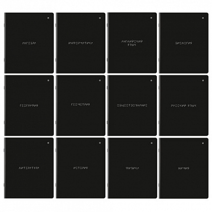 Тетради предметные, КОМПЛЕКТ 12 ПРЕДМЕТОВ, MINIMAL, 48л, матовая ламинация, BRAUBERG, 404831