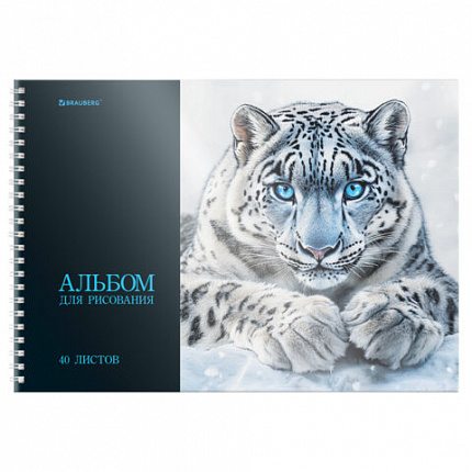 Альбом для рисования, пластиковая обложка, А4 40л., гребень, BRAUBERG, 210х297мм, АССОРТИ-1 (8 видов), 107682