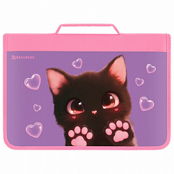 Папка на молнии BRAUBERG А4 с ручкой, с органайзером, 1 отделение, "Paw prints", 273383