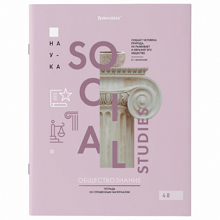 Тетради предметные со справочным материалом, КОМПЛЕКТ 12 ПРЕДМЕТОВ, VISION, 48 л., обложка картон, BRAUBERG, 404323