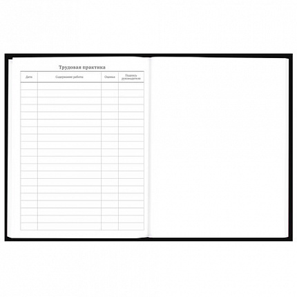 Дневник 5-11 класс 48 л., твердый, BRAUBERG, выборочный лак, с подсказом, "Dragon", 107195