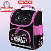 Ранец ПИФАГОР BASIC, 1 отделение, 3 кармана, эргономичная спинка, "Dark kitten", 35х28х18 см, 273134