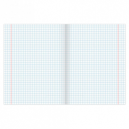 Тетрадь А5, 48 л., BRAUBERG, скоба, клетка, обложка картон, СПОРТ, 403035