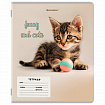 Тетрадь 12 л. BRAUBERG косая линия, обложка картон, CATS AND DOGS, 107288