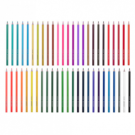 Карандаши цветные BRAUBERG PREMIUM 50 цветов в тубе, трехгранные, грифель 3,3 мм, 181935