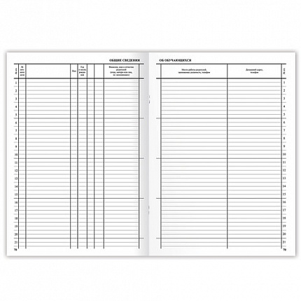 Классный журнал BRAUBERG 1-4 кл., А4, 200х290 мм, твердая ламинированная обложка, офсет, 125140