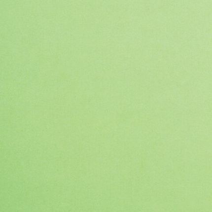 Картон цветной А4 ТОНИРОВАННЫЙ В МАССЕ, 50 листов, ЗЕЛЕНЫЙ, 220 г/м2, BRAUBERG, 210х297 мм, 128984