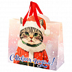 Пакет подарочный (1 шт.) новогодний, 26х13х32 см "Без границ" ассорти, ламинация, ЗОЛОТАЯ СКАЗКА, 592439