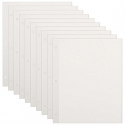 Листы для фотоальбома магнитные 23х28 см, КОМПЛЕКТ 10 шт., BRAUBERG, 391312