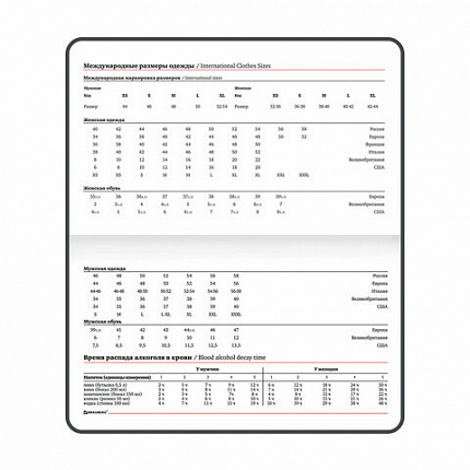 Еженедельник недатированный МАЛЫЙ ФОРМАТ 95х155 мм А6 BRAUBERG "Rainbow", под кожу, 64 л., бирюзовый, 114483
