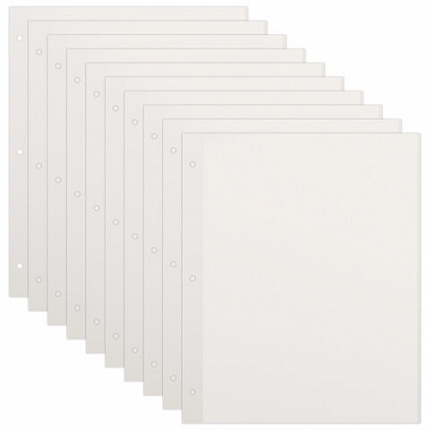 Листы для фотоальбома магнитные 23*28 см, КОМПЛЕКТ 10 штук, BRAUBERG, 391312