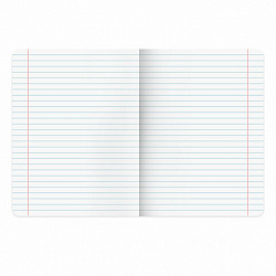 Тетради предметные, КОМПЛЕКТ 12 ПРЕДМЕТОВ, 48 л., SoftTouch, фольга, BRAUBERG, "ELEGANCE", 404611