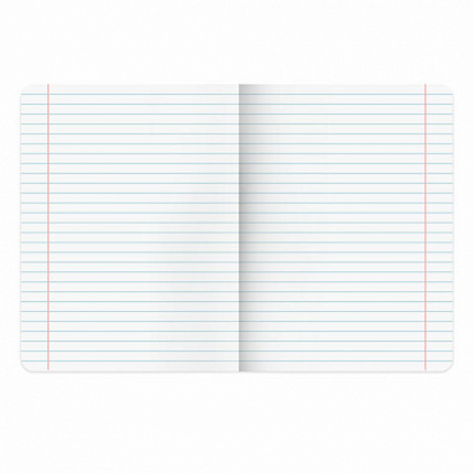 Тетради предметные, КОМПЛЕКТ 12 ПРЕДМЕТОВ, "ANIME", 48 л., глянцевый УФ-лак, BRAUBERG, 404608