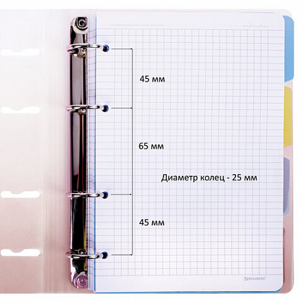 Тетрадь на кольцах А5 175х220мм, 120л, пластик, с разделителями, BRAUBERG, Красный, 404630