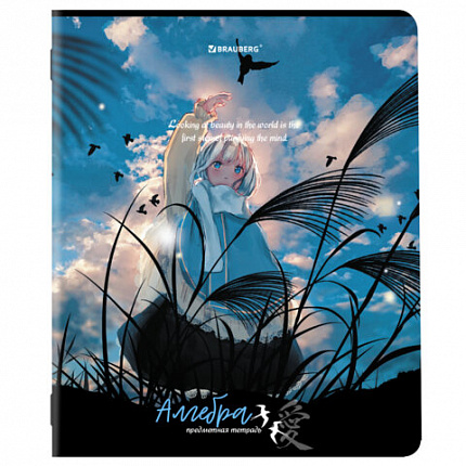 Тетради предметные, КОМПЛЕКТ 12 ПРЕДМЕТОВ, ANIME GIRLS, 48л, матовая ламинация, BRAUBERG, 404832