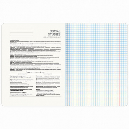 Тетрадь предметная МЕМЫ 48 л., TWIN-лак, ОБЩЕСТВОЗНАНИЕ, клетка, подсказ, BRAUBERG, 405097