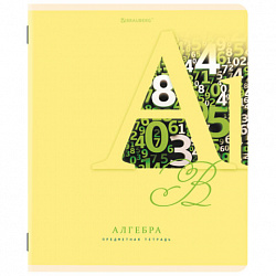 Тетради предметные, КОМПЛЕКТ 12 ПРЕДМЕТОВ, 48 листов, обложка картон, BRAUBERG, "ПАСТЕЛЬНАЯ", 404026