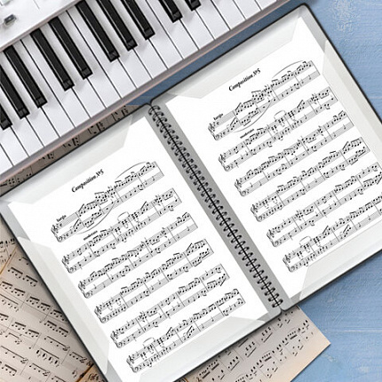 Папка тетрадь для нот А4, 20 вкладышей на 40 страниц, на гребне, пластик, ЧЕРНАЯ, BRAUBERG, 404643