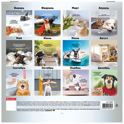 Календарь настенный перекидной 2026 г., BRAUBERG, 12 листов, 21,4х21,4 см, МИНИ, "Не падай духом", 116942