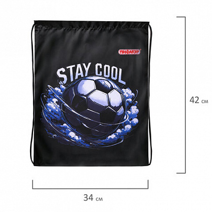 Мешок для обуви ПИФАГОР, 1 отделение, 42х34 см, "Stay cool", 274632