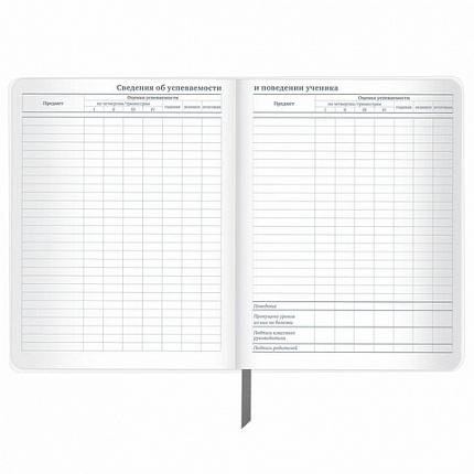 Дневник 1-11 класс 48 л., кожзам (твердая с поролоном), тиснение, аппликация, BRAUBERG, "Extreme", 106569