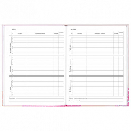 Дневник 5-11 класс 48 л., твердый, BRAUBERG, глянцевая ламинация, с подсказом, "Летний", 106631