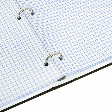 Тетрадь на кольцах БОЛЬШАЯ А4, 215х305 мм, 100 л., твердый картон, клетка, BRAUBERG, "Nature", 405411