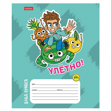 Тетрадь 12 л., HATBER линия, обложка картон, "Влад А4" (микс в спайке), 082390, 12Т5В2