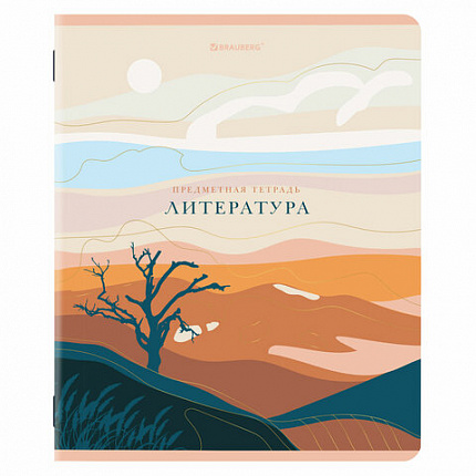 Тетради предметные, КОМПЛЕКТ 12 ПРЕДМЕТОВ, 48 л., SoftTouch, фольга, BRAUBERG, "ELEGANCE", 404611