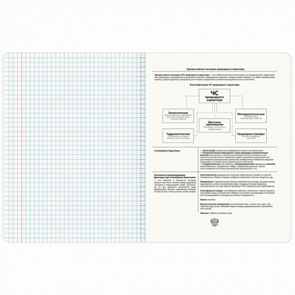 Тетрадь предметная МЕМЫ 48 л., TWIN-лак, ОБиЗР, клетка, подсказ, BRAUBERG, 405108