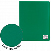 Папка 60 вкладышей STAFF, зеленая, 0,5 мм, 225707