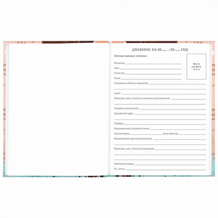 Дневник 5-11 класс 48 л., твердый, BRAUBERG, глянцевая ламинация, с подсказом, "Summer girl", 106882