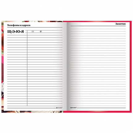 Ежедневник учителя специализированный А5 (215х145 мм), твердая обложка, 144 л., BRAUBERG, "АКСЕССУАРЫ", 129232