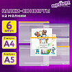 Папка-конверт на молнии, КОМПЛЕКТ 6 штук (А4 – 2 штуки, А5 – 4 штуки), ассорти, ЮНЛАНДИЯ, 229552
