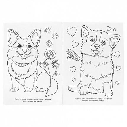 Книжка-раскраска "ЛИЦЕНЗИОННЫЕ СЮЖЕТЫ", АССОРТИ, 210х290 мм, 16 страниц, "УМКА"