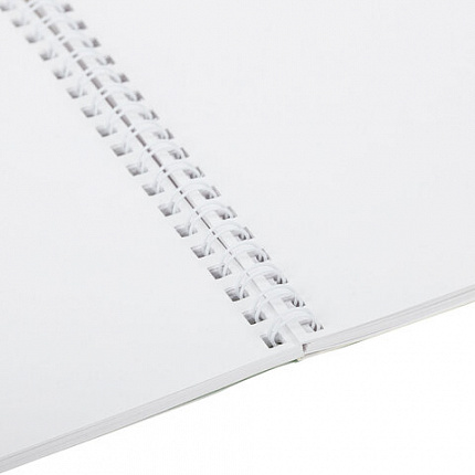 Альбом для рисования, пластиковая обложка, А4 40 л., гребень, FUNSTER (ФАНСТЕР), 210х297 мм, АССОРТИ (8 видов), 107684