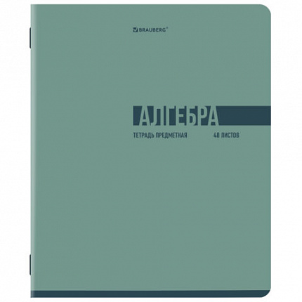 Тетради предметные, КОМПЛЕКТ 12 ПРЕДМЕТОВ, 48 л., обложка картон, BRAUBERG "VIBE", 405163