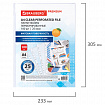 Папки-файлы перфорированные А4 BRAUBERG "PREMIUM", КОМПЛЕКТ 100 шт., матовые, 25 мкм, 273000