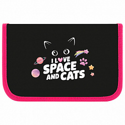 Пенал ПИФАГОР, 1 отделение, ламинированный картон, 19х11 см, "Dark kitten", 273467