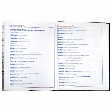 Дневник для музыкальной школы твердый, 48 л., HATBER "Клавиши", 039820, 48ДТмз5В_14210