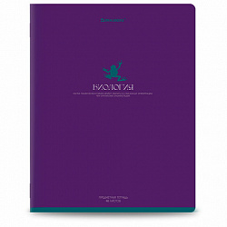 Тетради предметные, КОМПЛЕКТ 13 ПРЕДМЕТОВ, 48 л., матовая ламинация, BRAUBERG "MONOCOLOR", 405175