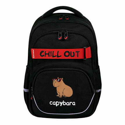 Рюкзак BRAUBERG MOTION, 2 отделения, 3 кармана, "Calm capy", СВЕТЯЩИЙСЯ, 41х28х17 см, 272032