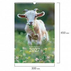 Календарь на гребне с ригелем 2027 г., 12 листов, 30x45 см, BRAUBERG, "Символ года", 118384