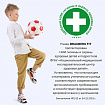 Ранец BRAUBERG FIT, 2 отделения, "Супермашина", 38х27х14 см, 272024