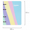 Тетрадь на кольцах А5 160х212 мм, 120 л., картон, матовая ламинация, клетка, BRAUBERG, кросс-серия PASTEL, 405197
