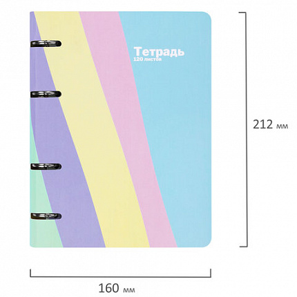 Тетрадь на кольцах А5 160х212 мм, 120 л., картон, матовая ламинация, клетка, BRAUBERG, кросс-серия PASTEL, 405197